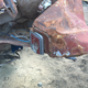 Illustration for article titled This Is The Southernmost Junkyard In The World